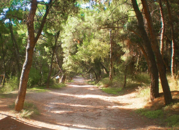 Δημήτρη Μπάση, πώς κυλούν οι μέρες στον Κορυδαλλό;