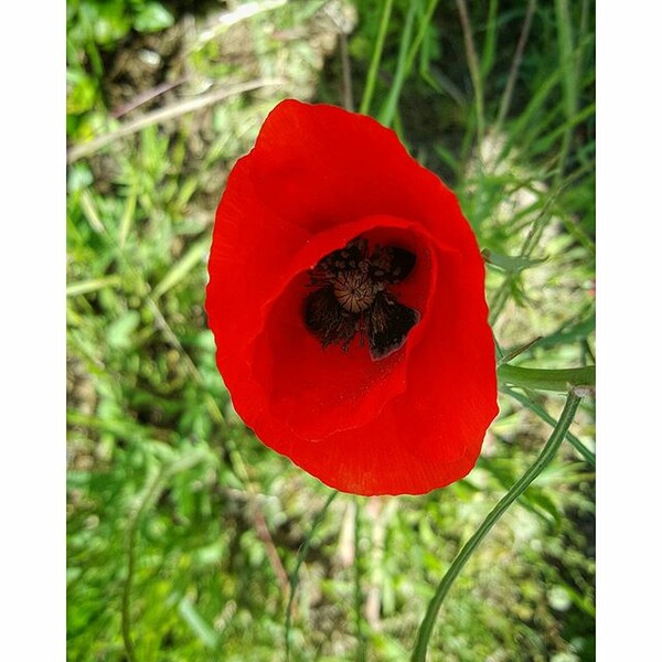 30 νέες φωτογραφίες των αναγνωστών μας, στο σημερινό INSTALIFO