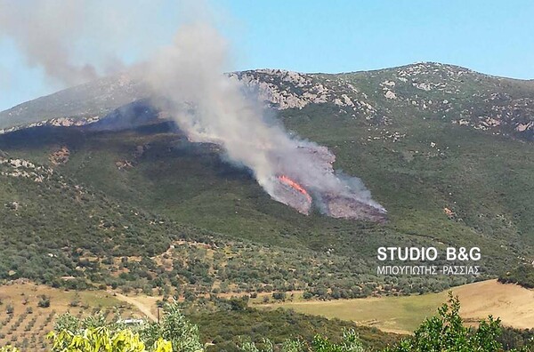 Μεγάλη πυρκαγιά στην Αργολίδα