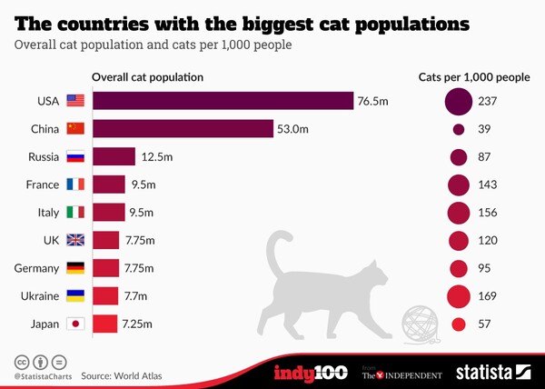 Αυτές είναι οι 10 χώρες που λατρεύουν περισσότερο τις γάτες