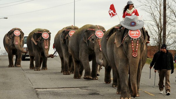 Τέλος εποχής για τους ελέφαντες του Ringling Bros- Το αμερικανικό τσίρκο τερματίζει την ατραξιόν