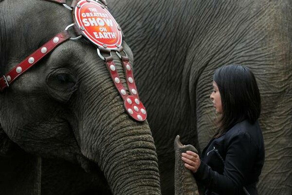 Τέλος εποχής για τους ελέφαντες του Ringling Bros- Το αμερικανικό τσίρκο τερματίζει την ατραξιόν