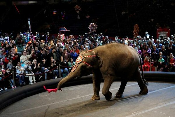 Τέλος εποχής για τους ελέφαντες του Ringling Bros- Το αμερικανικό τσίρκο τερματίζει την ατραξιόν