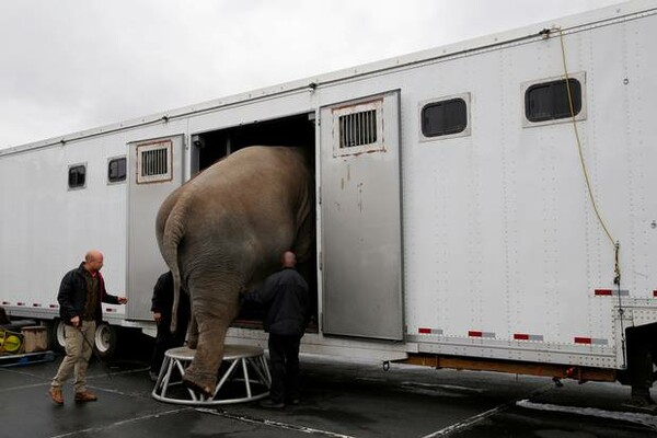 Τέλος εποχής για τους ελέφαντες του Ringling Bros- Το αμερικανικό τσίρκο τερματίζει την ατραξιόν