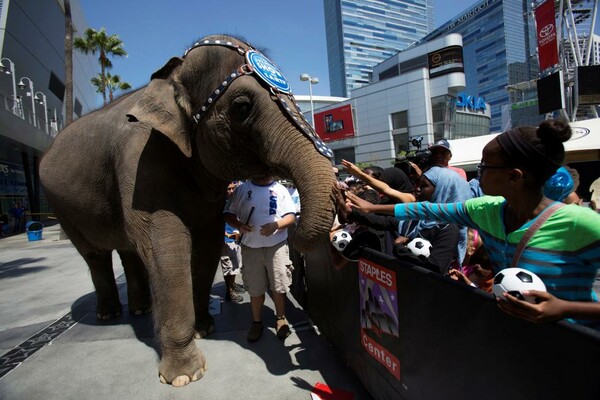 Τέλος εποχής για τους ελέφαντες του Ringling Bros- Το αμερικανικό τσίρκο τερματίζει την ατραξιόν