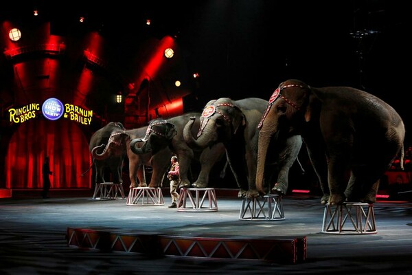 Τέλος εποχής για τους ελέφαντες του Ringling Bros- Το αμερικανικό τσίρκο τερματίζει την ατραξιόν