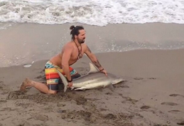 H ντροπή με τις selfies συνεχίζεται - Θύμα τώρα ένας καρχαρίας και παγόνια