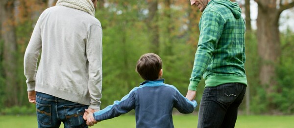 Το θέμα της τεκνοθεσίας από ομοφυλόφιλους είναι ανοιχτό και θα έρθει στη Βουλή, δήλωσε απόψε ο Παρασκευόπουλος