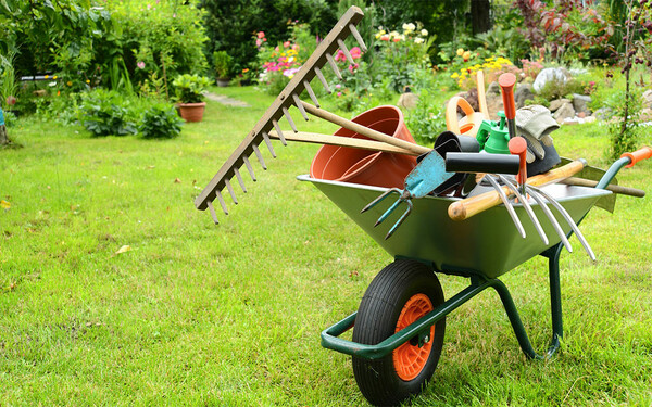 10 tips που θα σε κάνουν καλύτερο κηπουρό