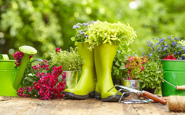 10 tips που θα σε κάνουν καλύτερο κηπουρό