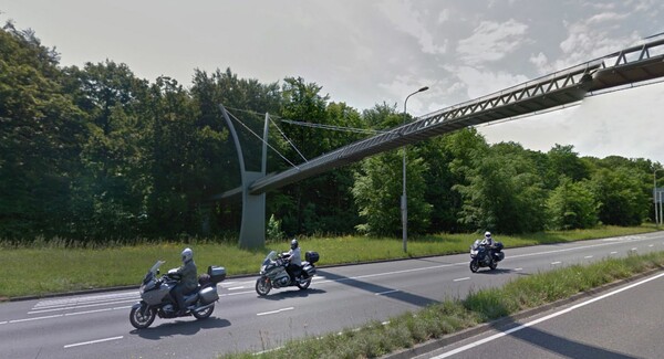 Ολλανδία: Η γέφυρα που φτιάχτηκε για σκίουρους και διχάζει