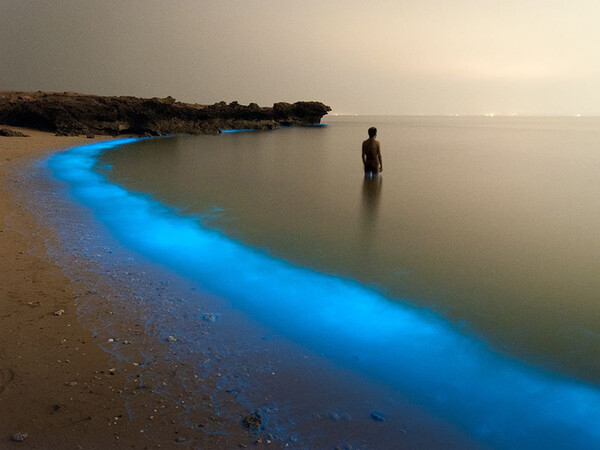 Οι 20 ωραιότερες φωτογραφίες φύσης από το National Geographic