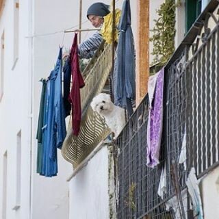 30 νέες φωτογραφίες απ' τα τέλεια ζώα των αναγνωστών μας