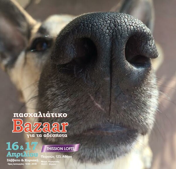 Πασχαλινό Bazaar για τα Αδέσποτα Ζώα του Stray.Gr
