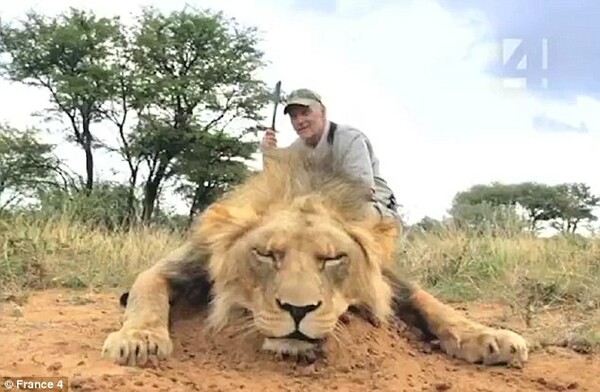 Αντιδράσεις για βίντεο με τουρίστα που σκοτώνει λιοντάρι, ενώ ο πρίγκηπας Ουίλιαμ υπερασπίστηκε το κυνήγι