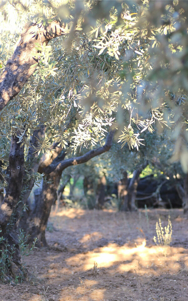 Εξαιρετικά gourmet!