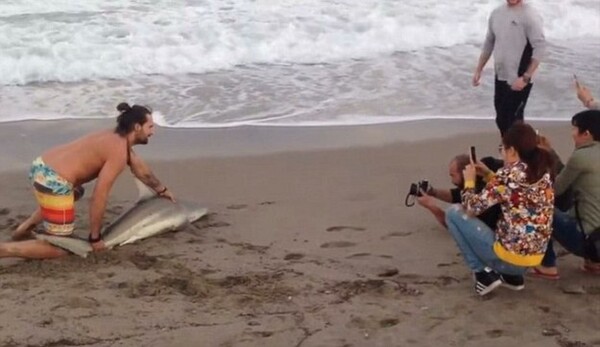 H ντροπή με τις selfies συνεχίζεται - Θύμα τώρα ένας καρχαρίας και παγόνια