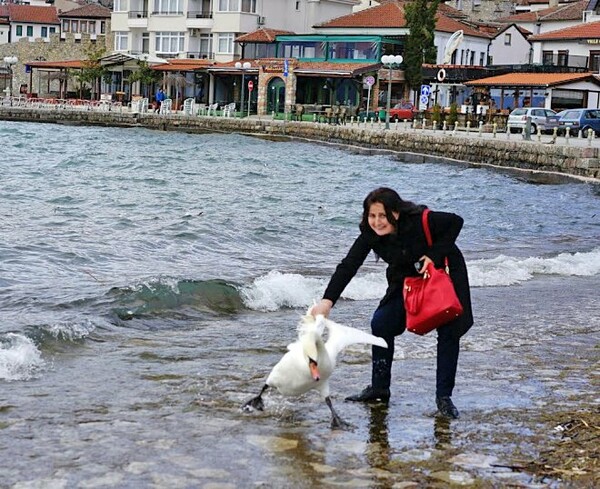 Τουρίστρια σκότωσε έναν κύκνο στην προσπάθεια να βγάλει μια selfie