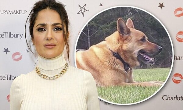 Η Salma Hayek θρηνεί το θάνατο του σκύλου της και αναζητά το δολοφόνο του