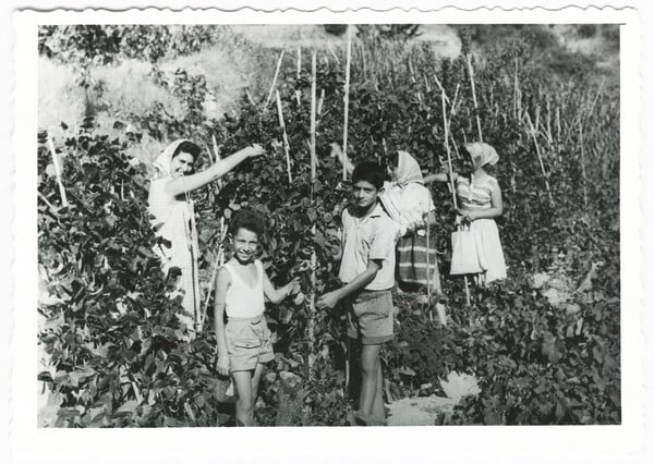 Cefalonia: O Σπύρος Στάβερης επιστρέφει στο χωριό του πατέρα του
