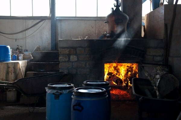 Έτσι φτιάχνεται το ελληνικό τσίπουρο κάθε φθινόπωρο στην ορεινή Χαλκιδική και τη λίμνη Κορώνεια