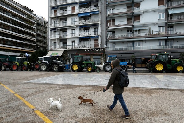 Επιστήμονες δημιούργησαν τεστ IQ για σκύλους