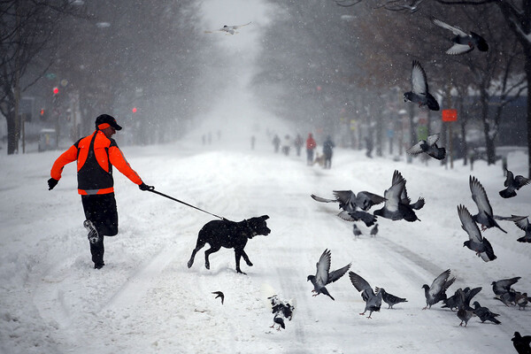 Snowzilla: H επόμενη μέρα στην παγωμένη Νέα Υόρκη