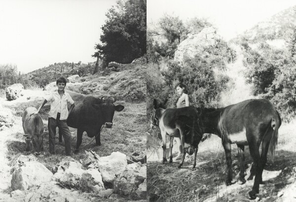 Cefalonia: O Σπύρος Στάβερης επιστρέφει στο χωριό του πατέρα του