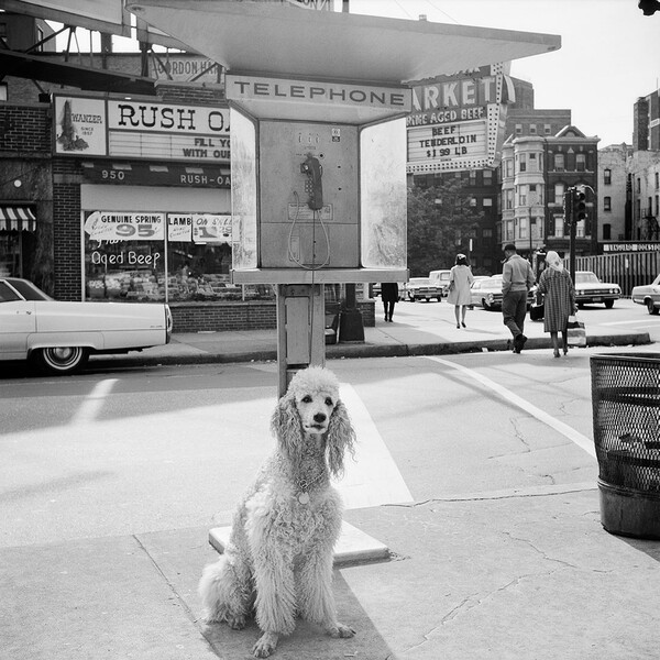 Vivian Maier, μυστηριώδης νταντά και «κρυφή» φωτογράφος