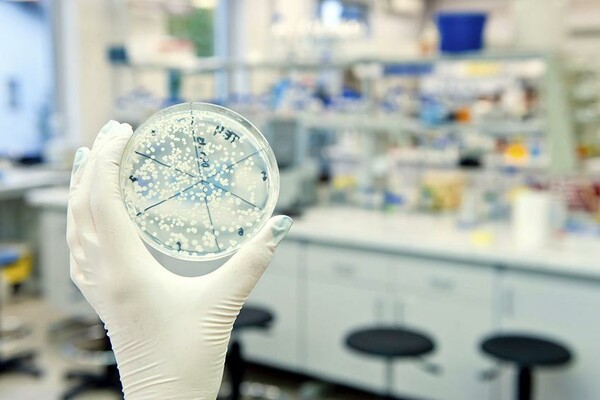 Oι επιστήμονες προτρέπουν: Αφήστε αυτά τα μικρόβια να ζήσουν στο σώμα σας