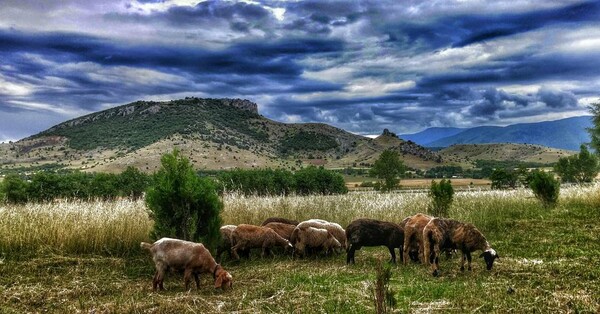 30 νέες φωτογραφίες απ' τα τέλεια ζώα των αναγνωστών μας