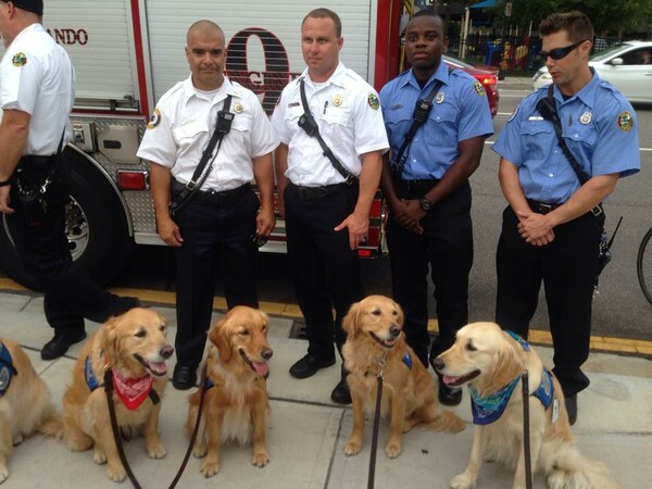 12 σκύλοι θεραπευτές ταξίδεψαν στο Ορλάντο για να ανακουφίσουν και να προσφέρουν παρηγοριά στα θύματα