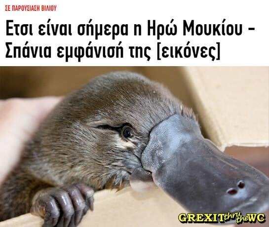 25 Μικροπράγματα που ΙΣΩΣ σου φτιάξουν τη διάθεση, σήμερα Πέμπτη