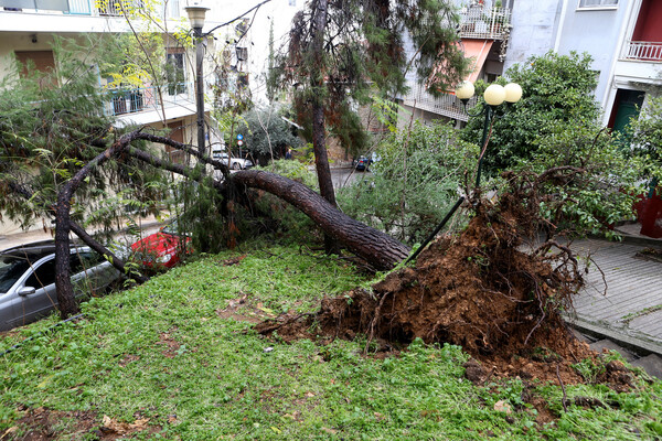 Νέο κύμα κακοκαιρίας σάρωσε την Αθήνα - 250 οι κλήσεις στην Πυροσβεστική