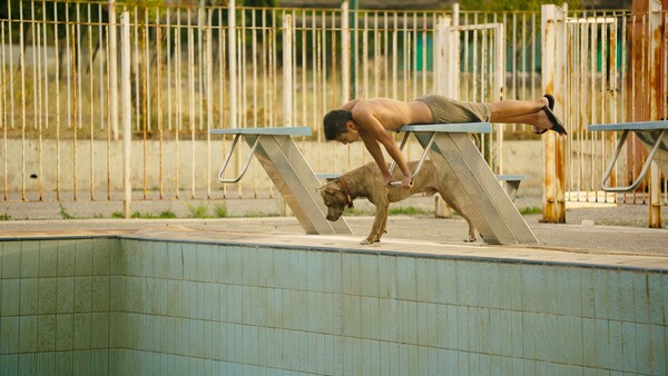 Το Park της Σοφίας Eξάρχου πάει στα διεθνή φεστιβάλ