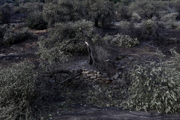 Τα καμένα σπίτια στο γραφικό, ορεινό Καζαβίτι της Θάσου