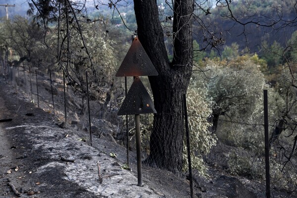 Τα καμένα σπίτια στο γραφικό, ορεινό Καζαβίτι της Θάσου