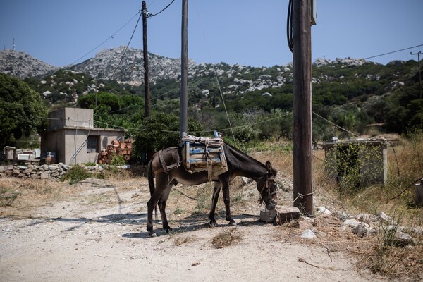 Ο παράδεισος είναι ελληνικός και βρίσκεται στην Ικαρία