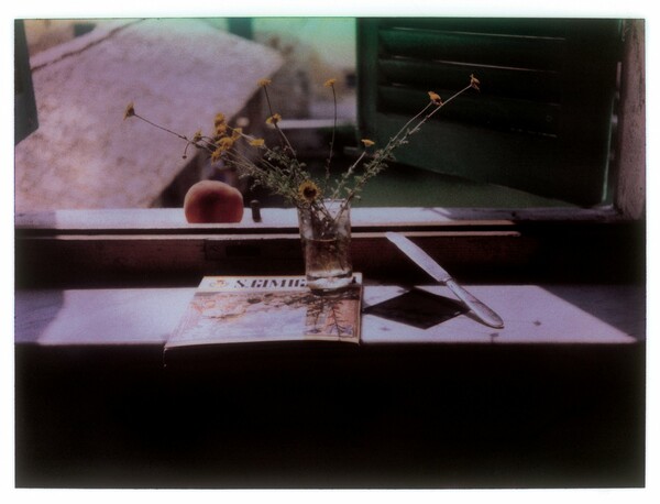 Οι Polaroids του Αντρέι Ταρκόφσκι σε δημοπρασία