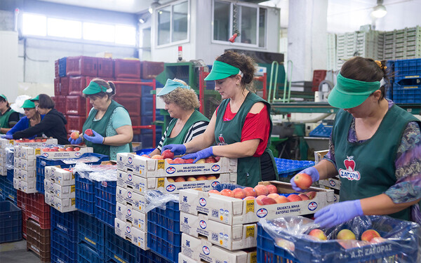 Πώς η Lidl επιλέγει ποιοτικά τοπικά ελληνικά προιόντα για το τραπέζι μας