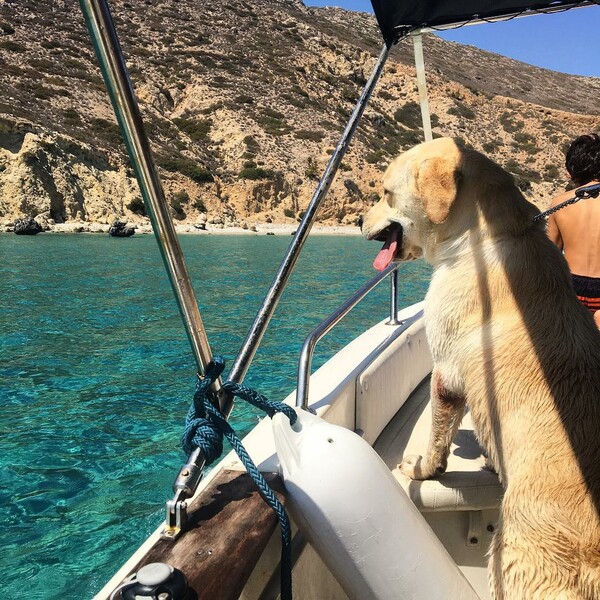 30 νέες φωτογραφίες απ' τα τέλεια ζώα των αναγνωστών μας