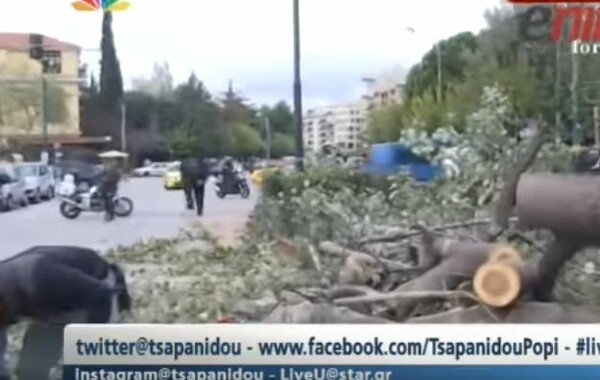 Έπεσε δέντρο στην Ευελπίδων από τους ανέμους