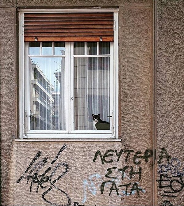 30 νέες φωτογραφίες απ' τα τέλεια ζώα των αναγνωστών μας