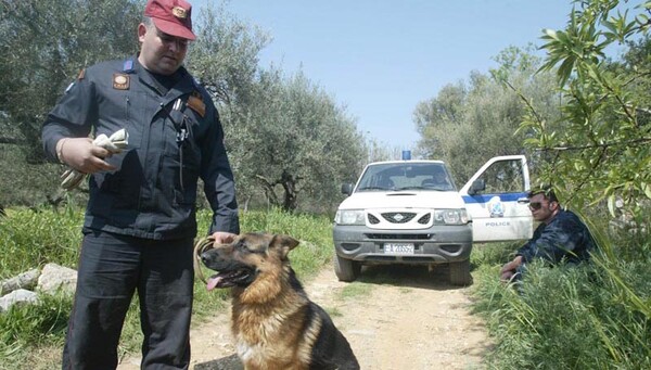 Χάθηκε 21χρονος σε βουνό στη Φωκίδα
