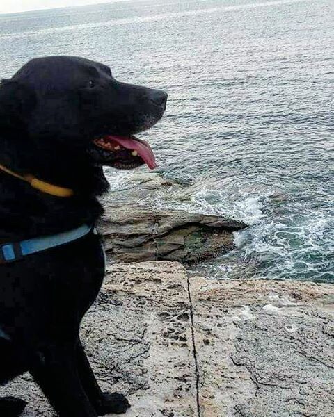 30 νέες φωτογραφίες απ' τα τέλεια ζώα των αναγνωστών μας