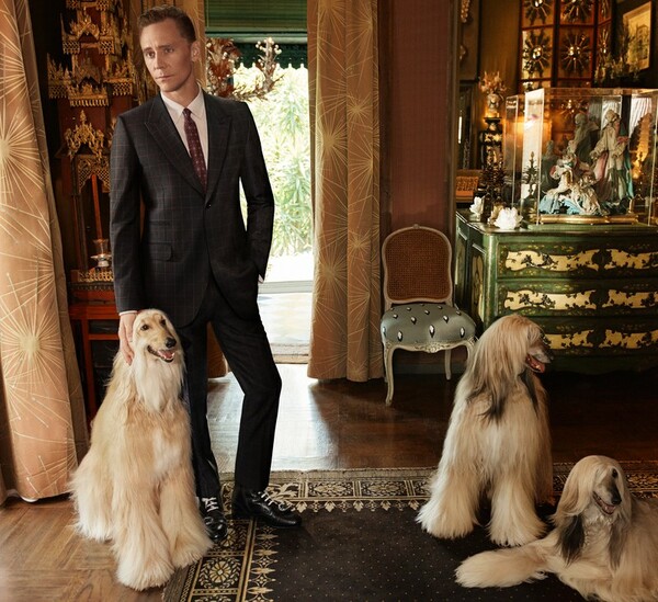 Ο Tom Hiddleston είναι ο νέος σταρ του Gucci