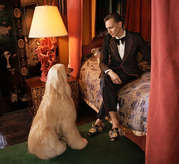 Ο Tom Hiddleston είναι ο νέος σταρ του Gucci