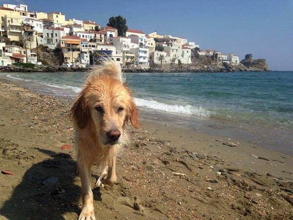 30 νέες φωτογραφίες απ' τα τέλεια ζώα των αναγνωστών μας