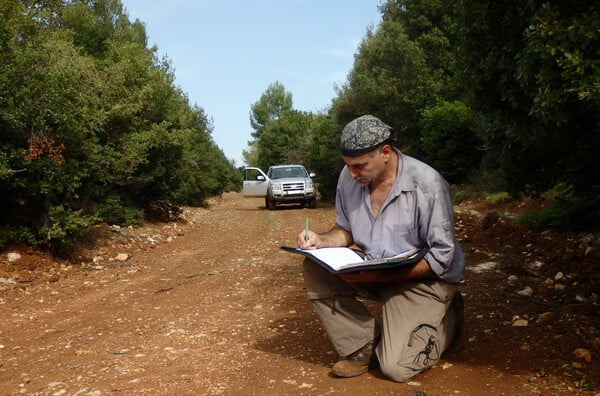 Η άγρια ζωή και οι λύκοι επιστρέφουν ξανά στην Πάρνηθα