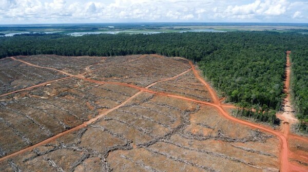 «Φλεγόμενος Παράδεισος» - Nτοκουμέντα από το οικολογικό έγκλημα μιας μόνο εταιρείας στην Ινδονησία